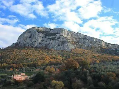 Calice